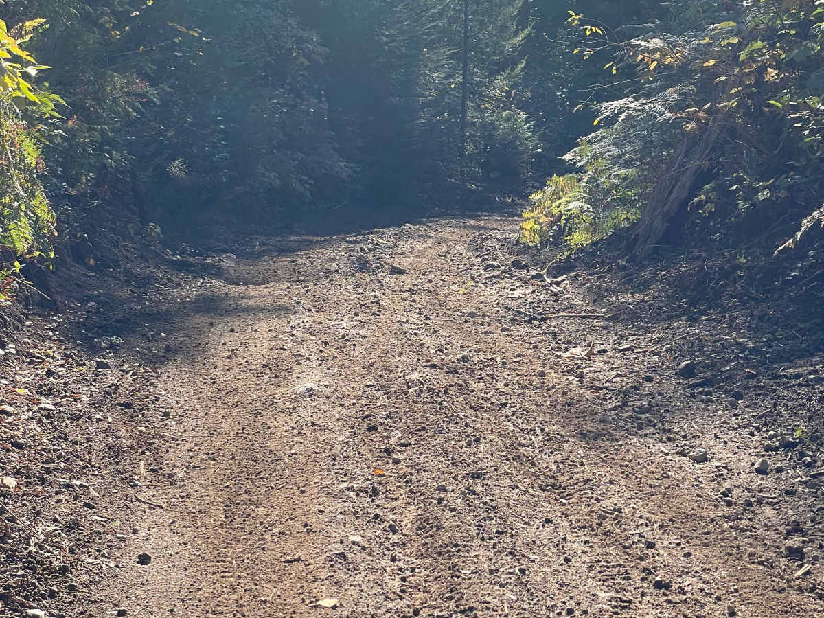 Skidder Hill photo 4