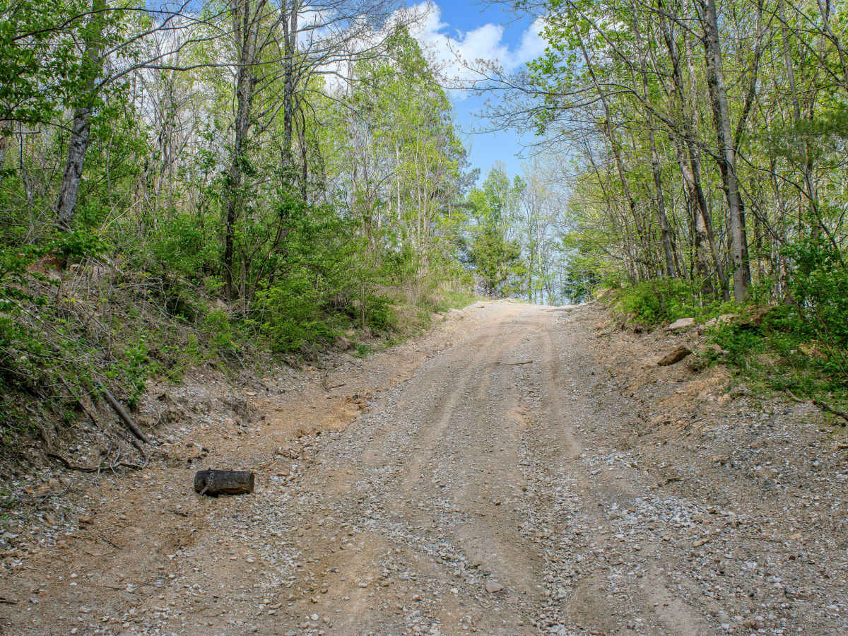 4 Lane  photo 3