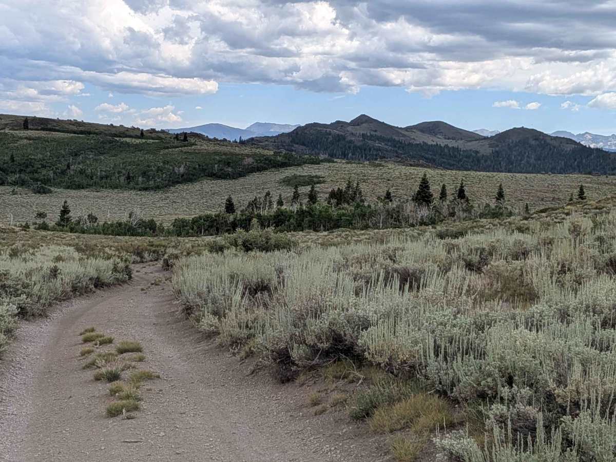 Shepherd Road - FS 31354 photo 6