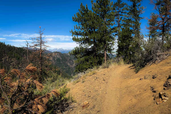 Red Hill Spur 1223.1