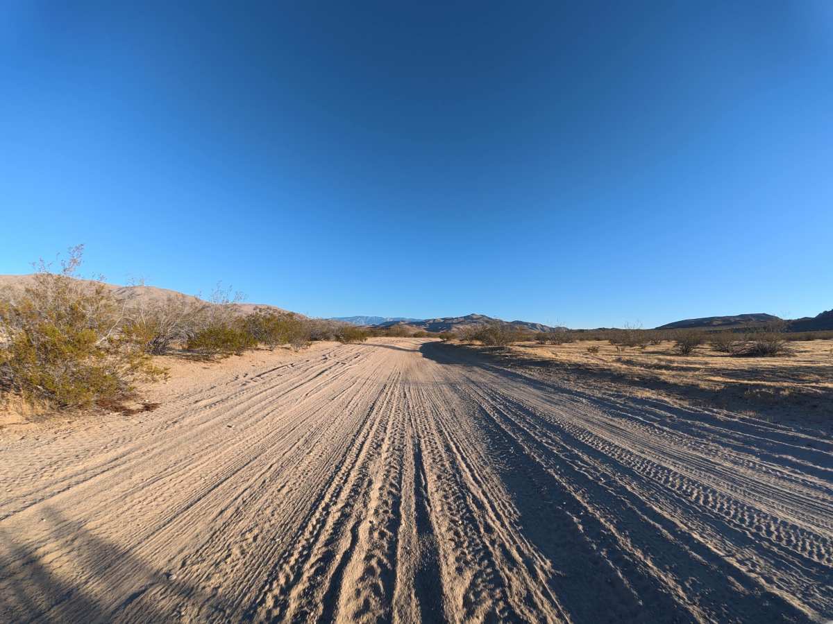 BLM SV2607 photo 6