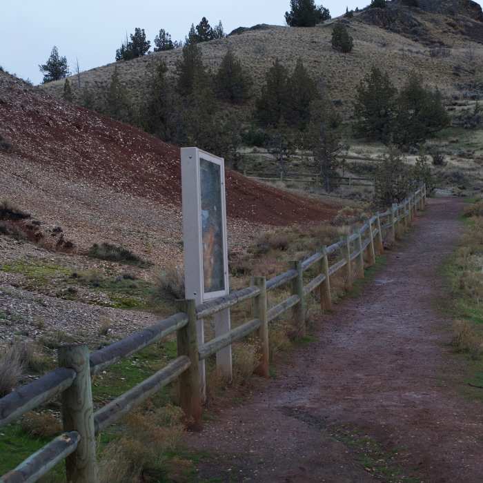 Near Leaf Hill Trail