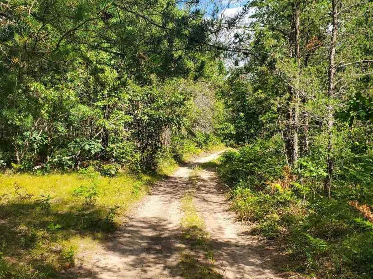 Inner Dogman Trail trail photo