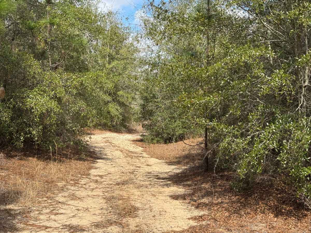 Hunting Road photo 6