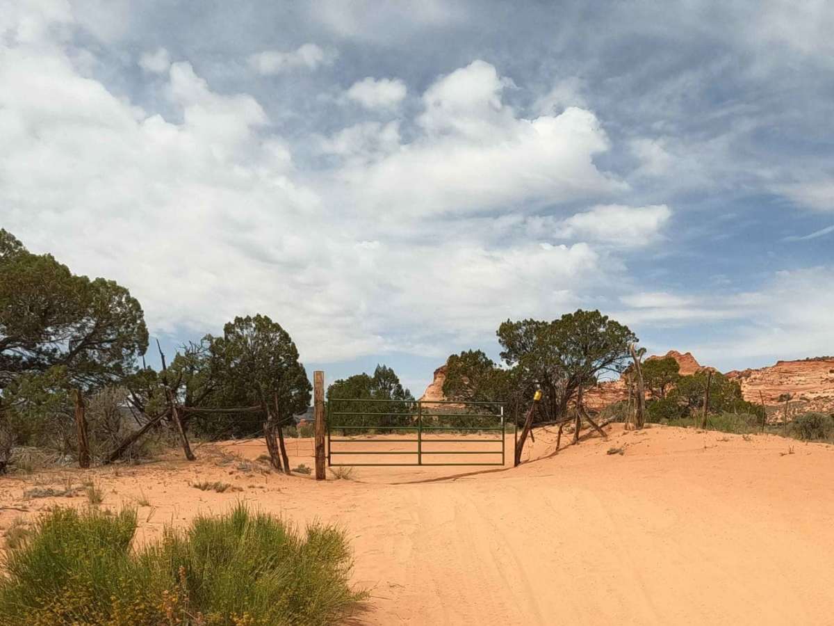 Paw Hole Road - NM1079 photo 6