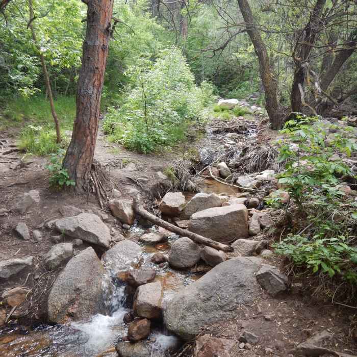 Near Bluebell-Baird Trail