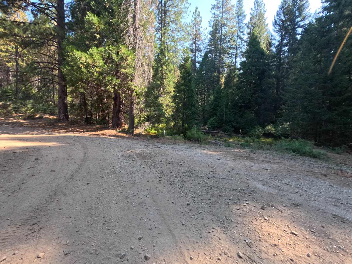 Moores Flat Road photo 2