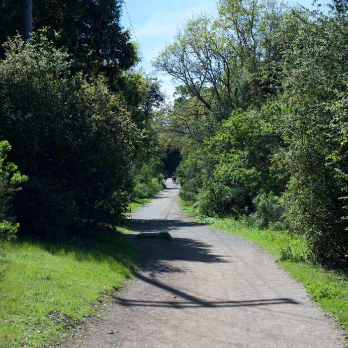 Near Wild Rye Trail