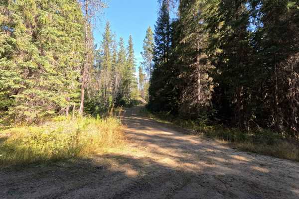 Klahowya Creek A - FS 1075A