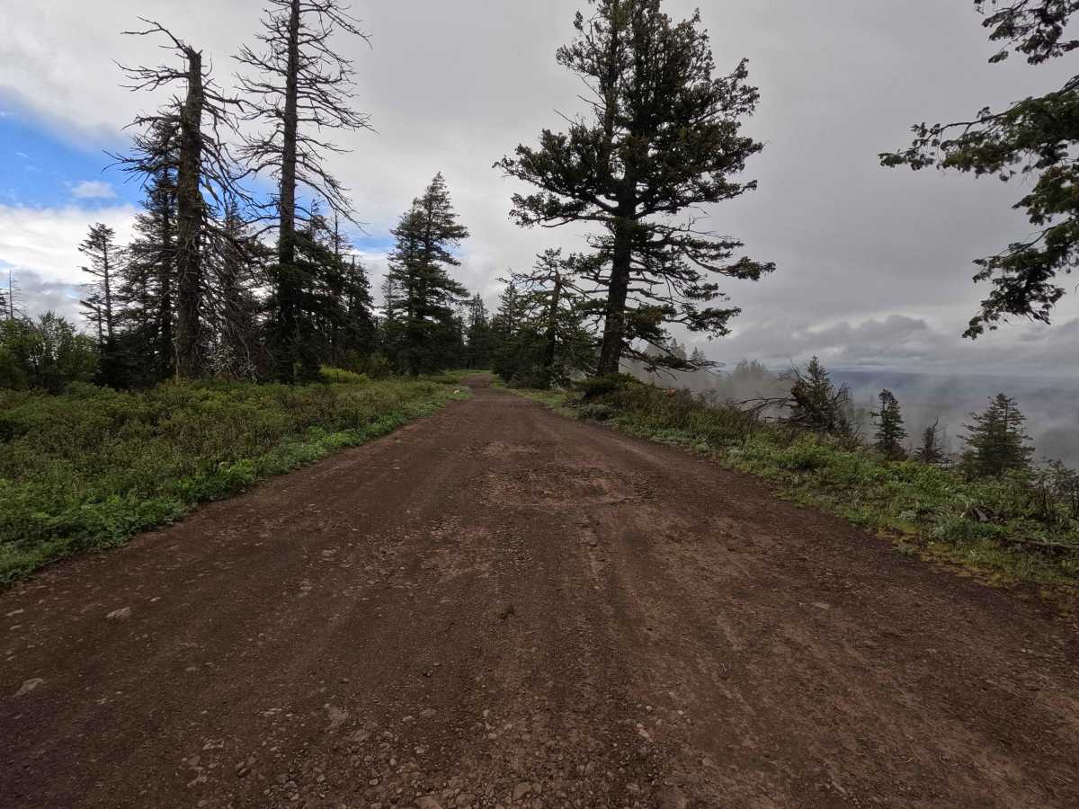 Crampton Road - FS 3120 photo 5