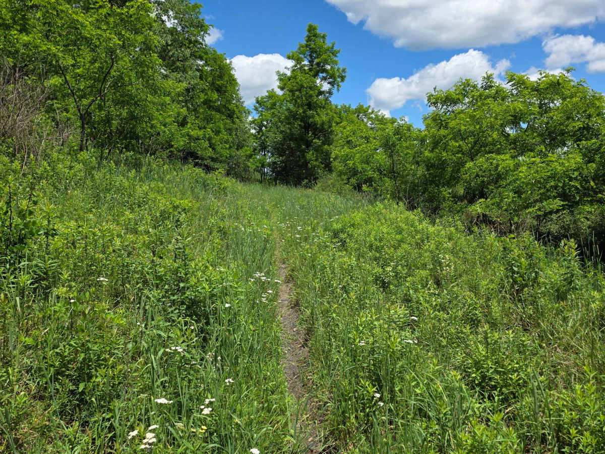 Single Track HH photo 6
