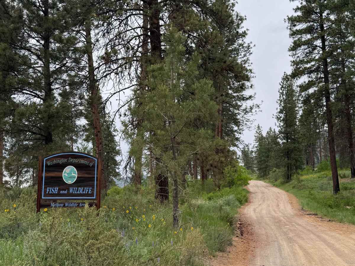 FS 5008-100 trail photo