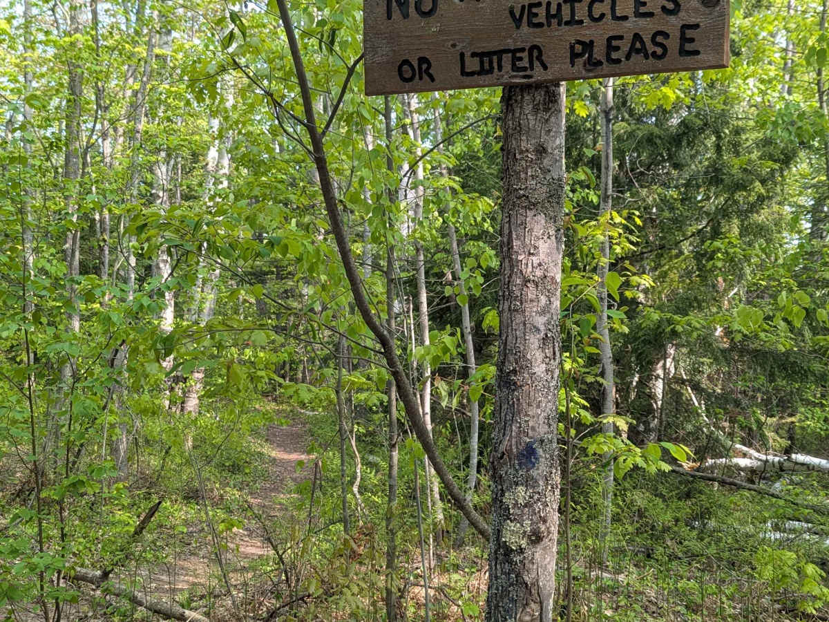 Alder Truck Trail photo 4