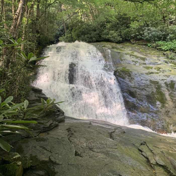 Near Lower Pond Creek Trail