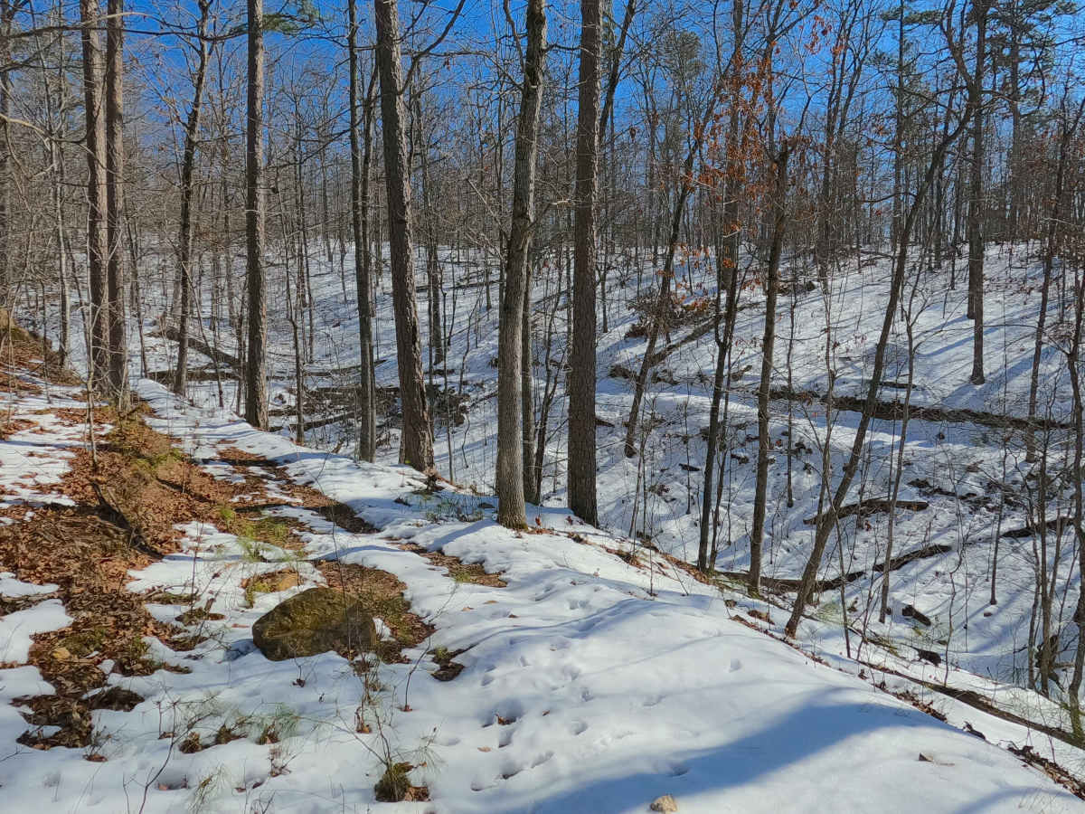 Sutton Bluff ATV 17 - SB 17 photo 5