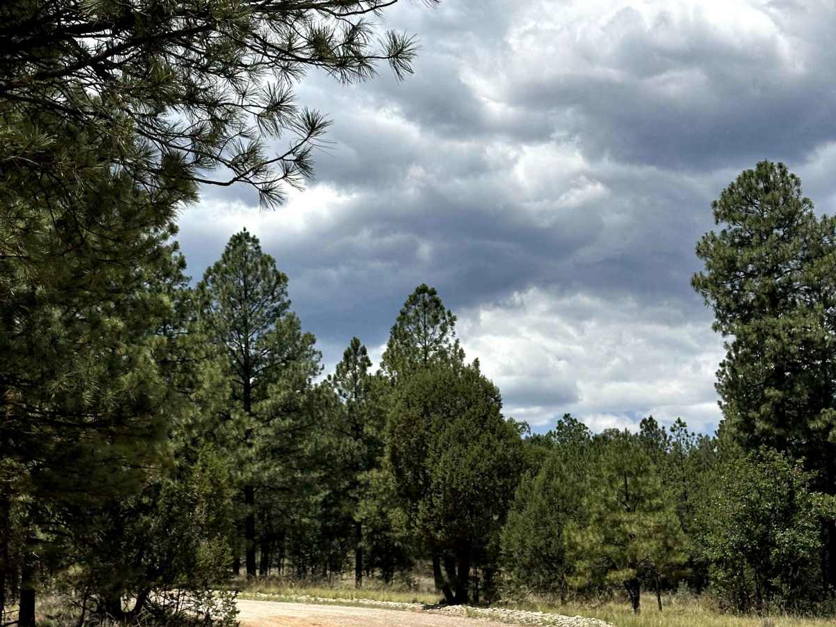 Bear Canyon photo 4