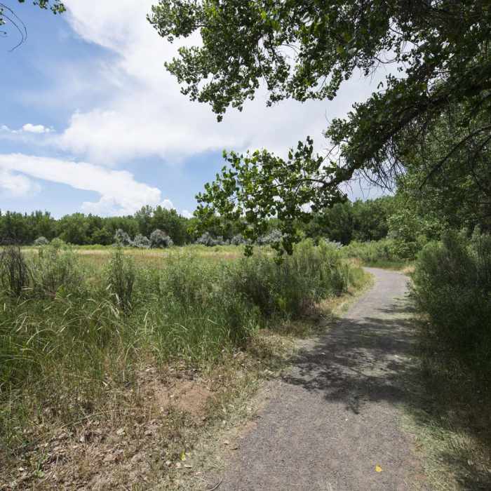 Near Wetland Loop Trail Hike