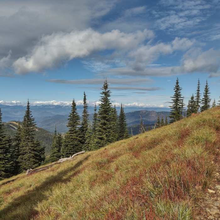 Near the ridge top, heading north on Pend Oreille Divide Trail, the views of forested hills and valleys to the west are awe inspiring. In the far distance where the clouds meet the sky, are Idaho's Selkirk Mountains. Near Mount Pend Oreille Out-and-Back