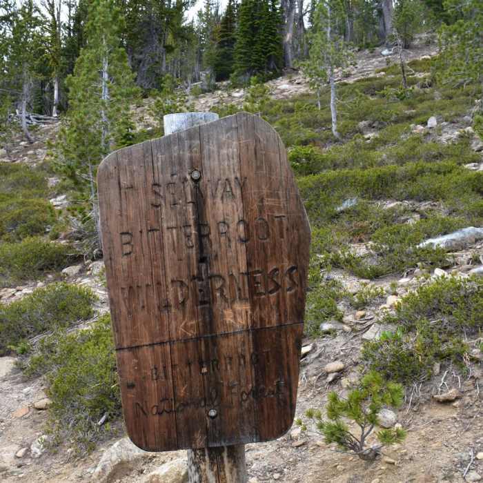 Near Saint Mary Peak