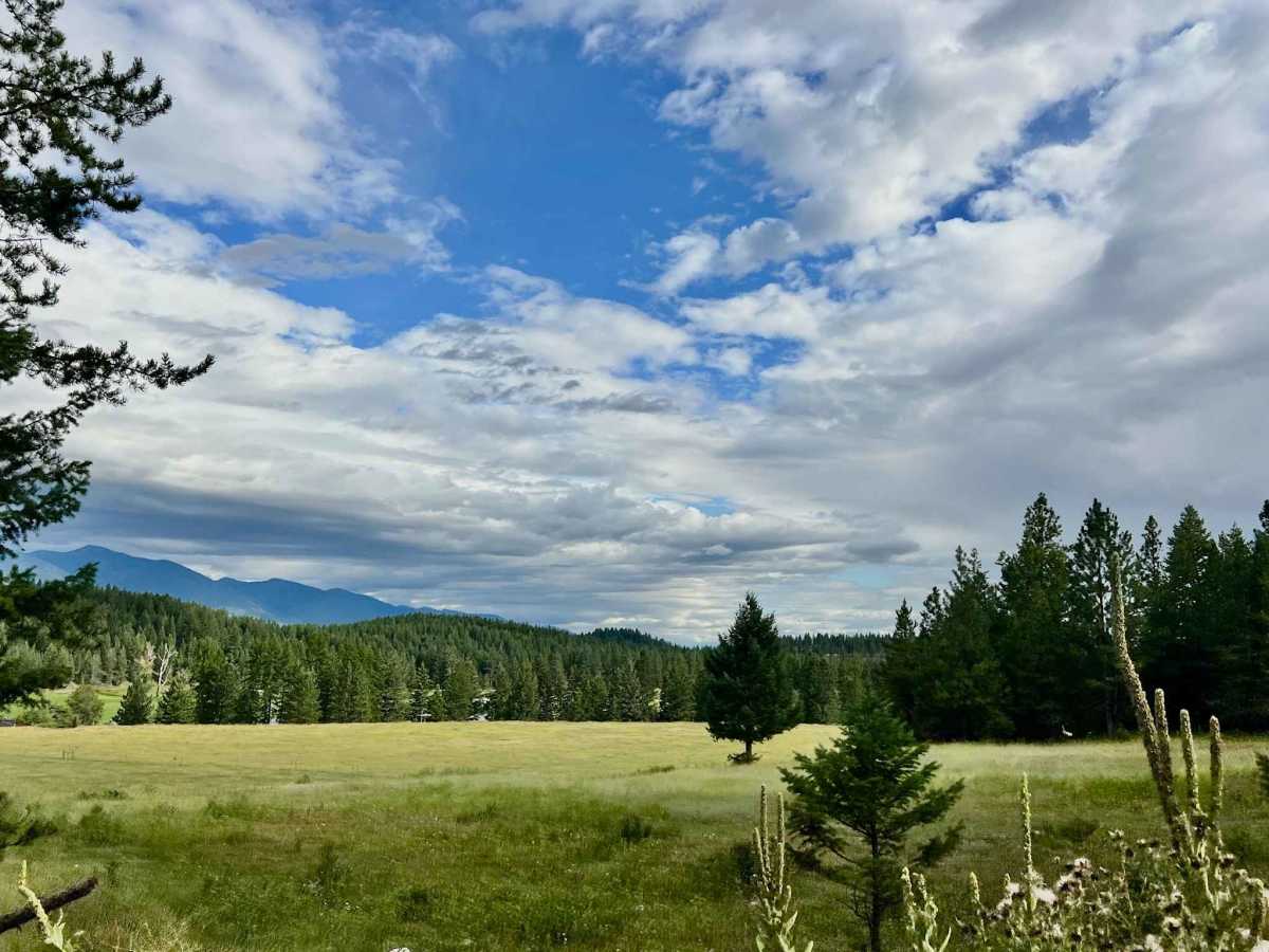 Kikomun Creek Loop trail photo