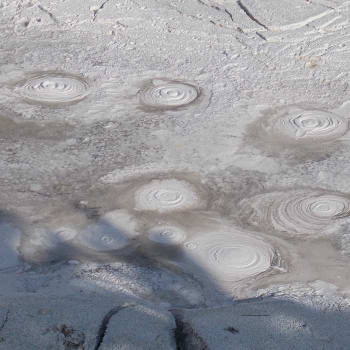 Near Artist's Paintpots Trail