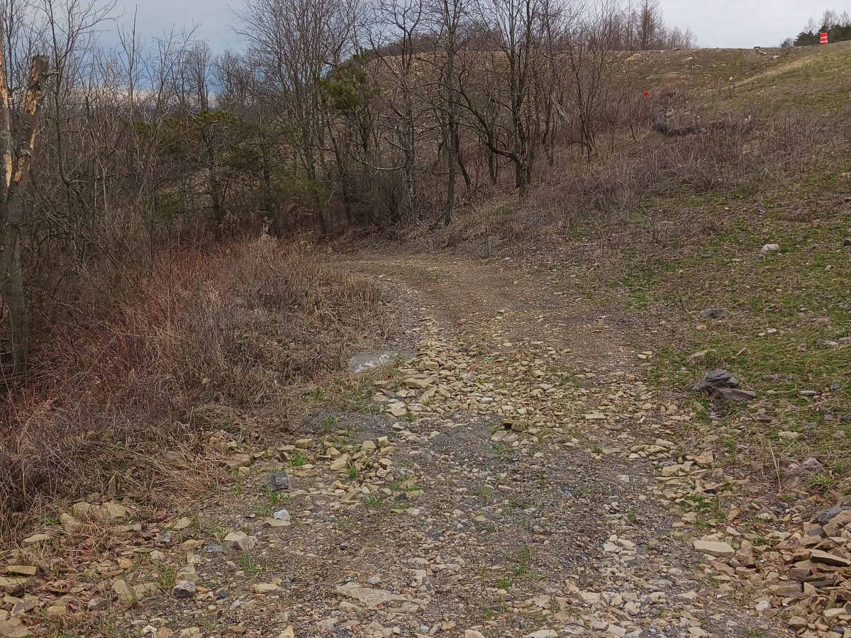 Trail 4L - Rock Run Recreation Area trail photo