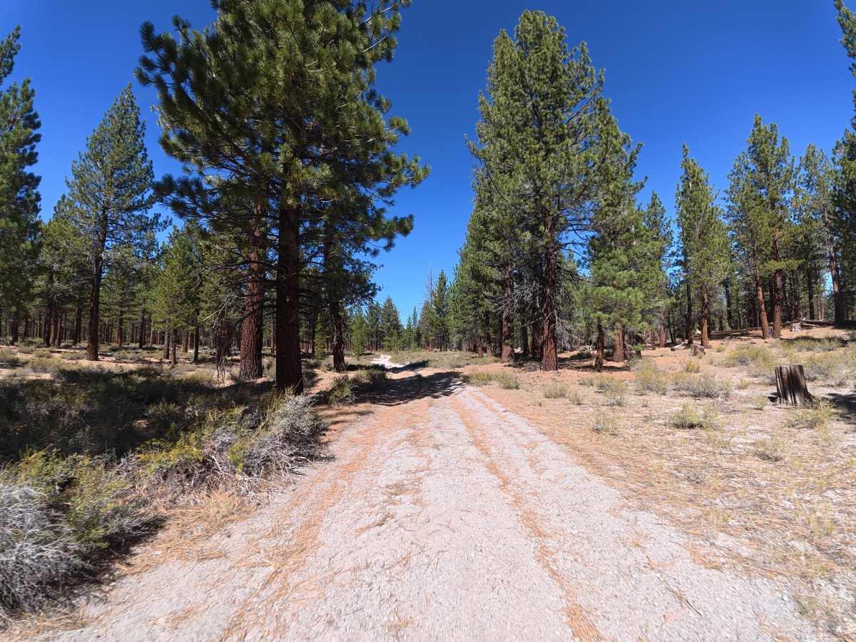 Old Rail Cutoff trail photo