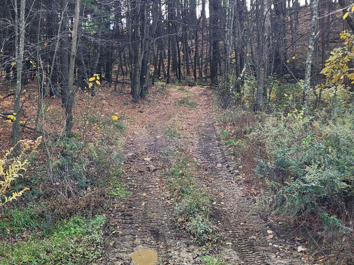 OHV 7 - Rock Run Recreation Area photo 2