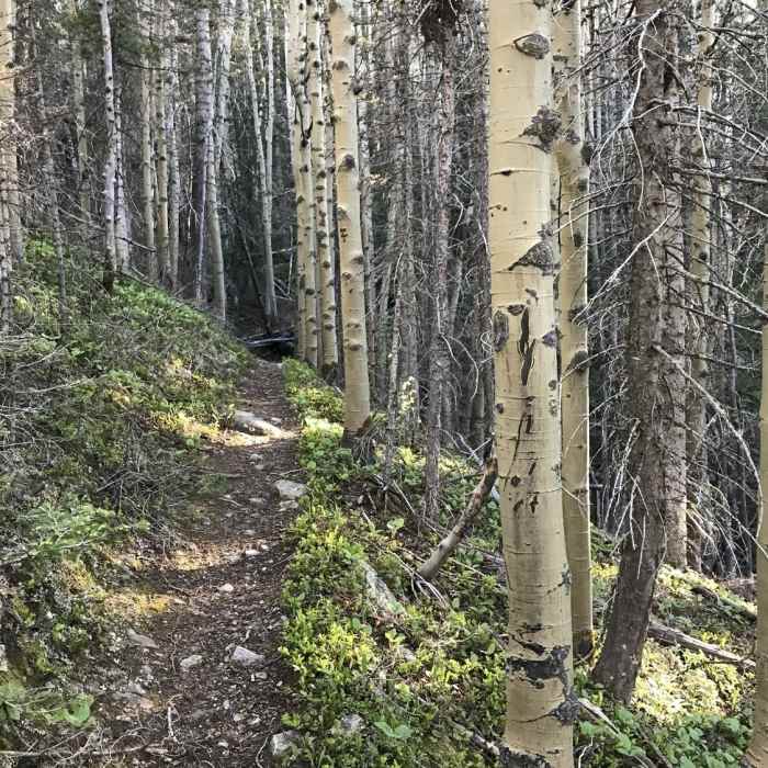 Near East Spanish Peak Ascent