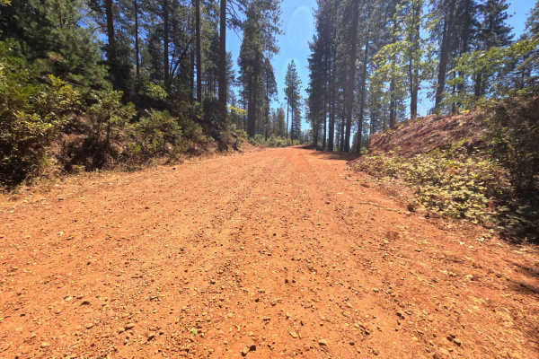 Pike CO Peak - FS 19N17