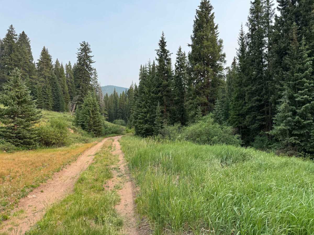 FS 436 trail photo