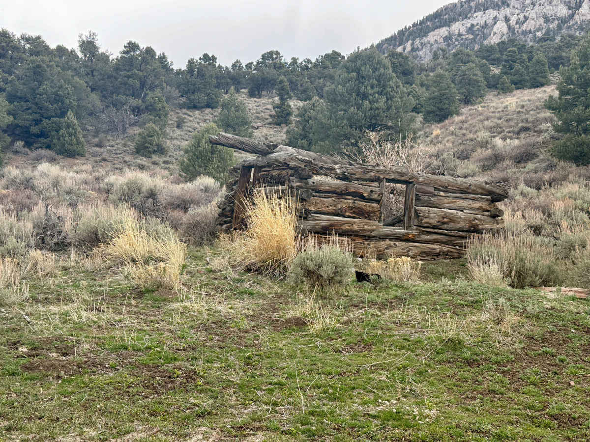 Mcmaughn Canyon Trail photo 4