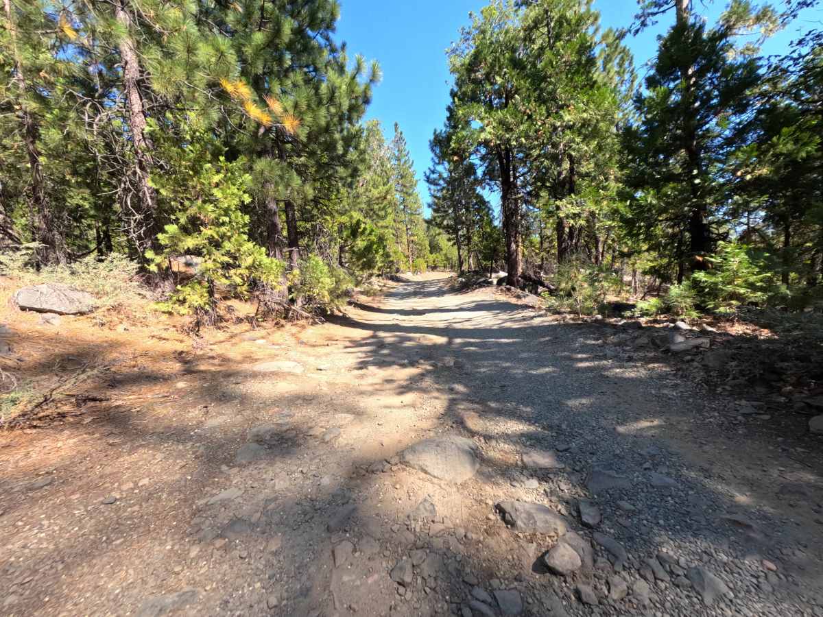 Blue Lake - FS 18-006 photo 6