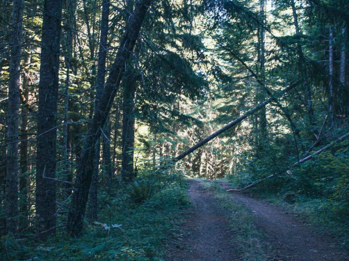 June Mountain photo 6