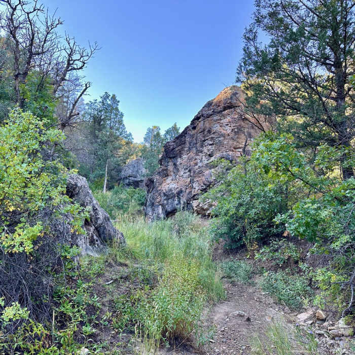 Near McKee Draw Trail Near McKee Draw Trail