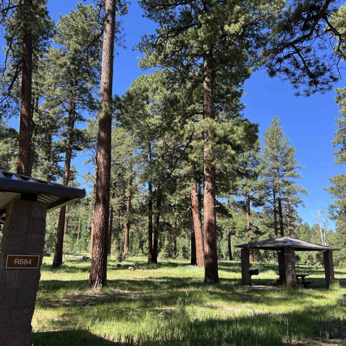 Near Viewpoint Trail