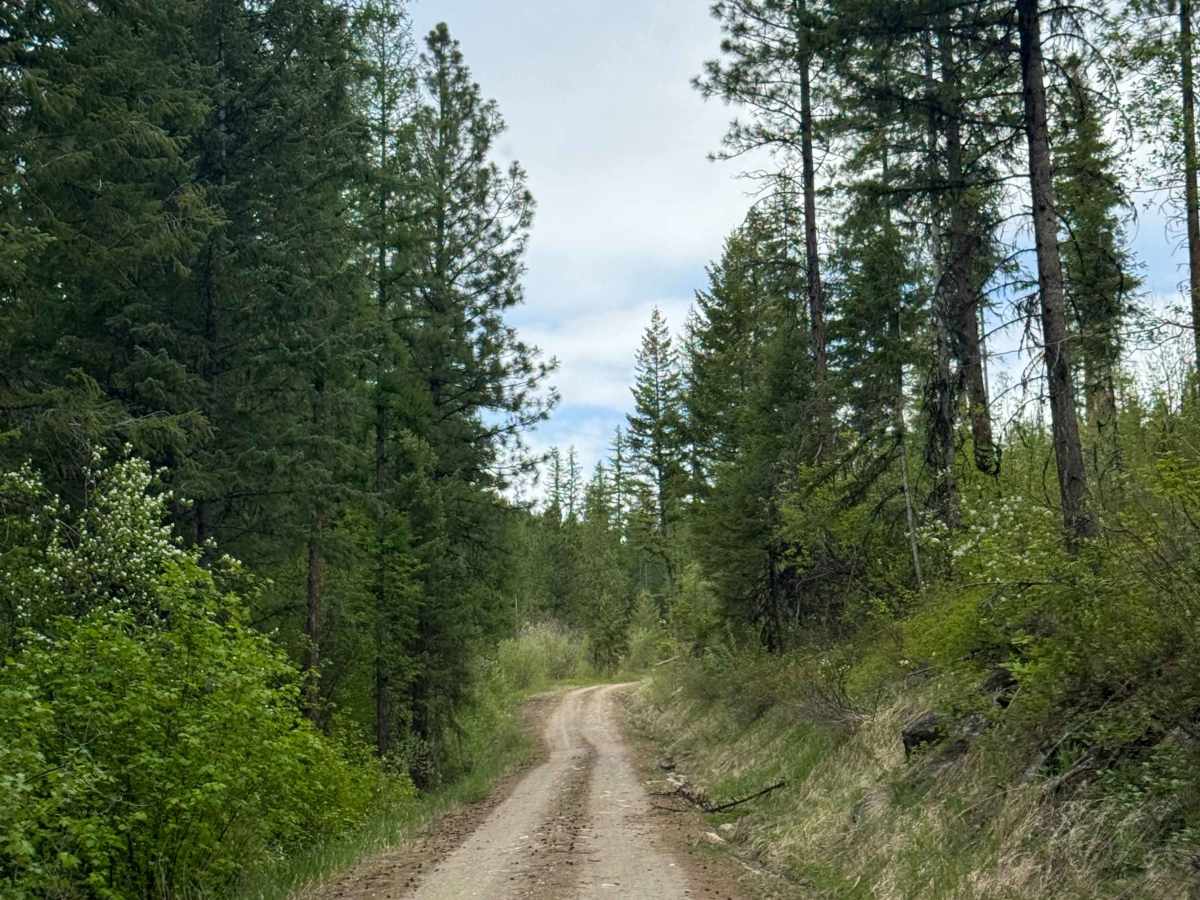 Graves Mountain Road photo 4