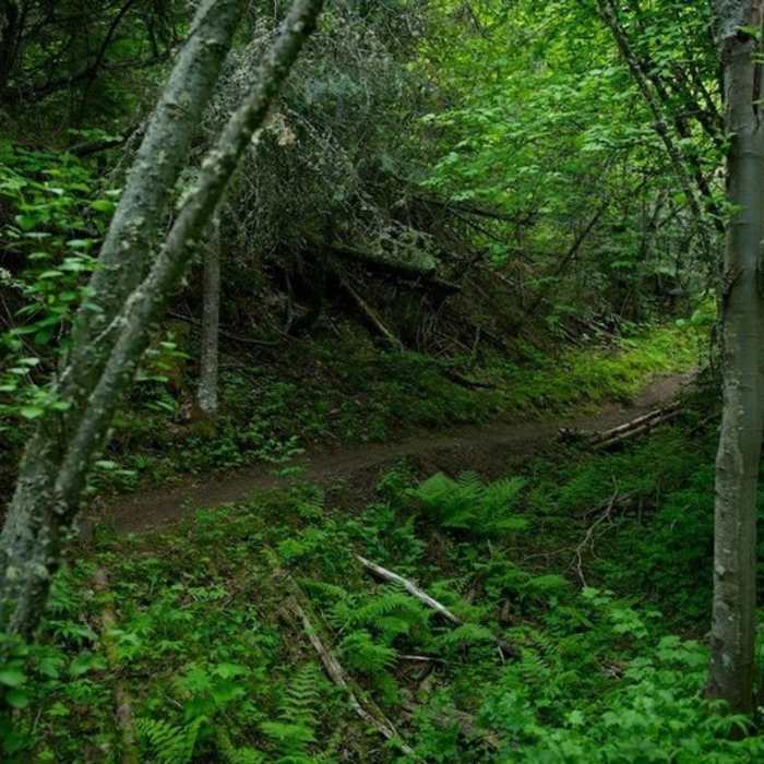 Near Iller Creek & Rocks Of Sharon Loop