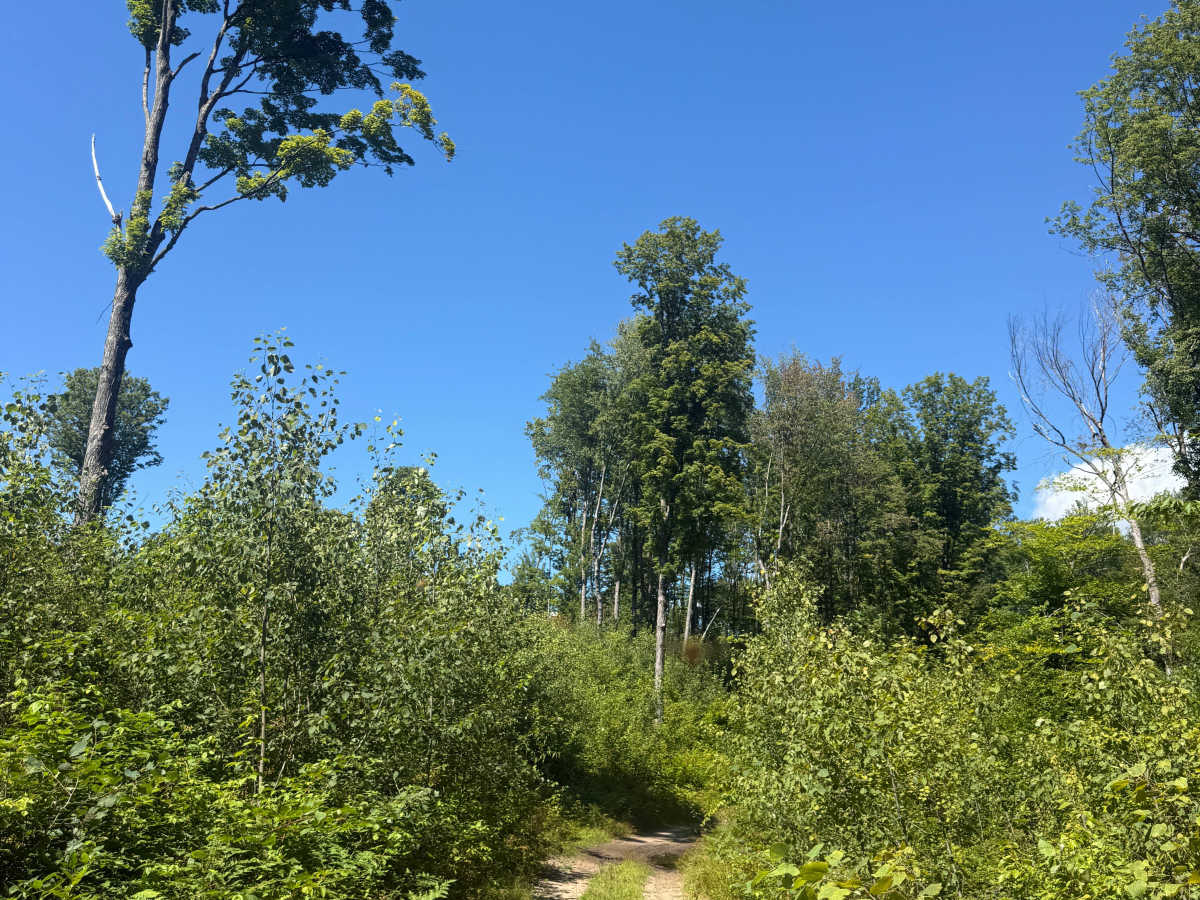 Big 4-Norconk Connector Trail photo 6