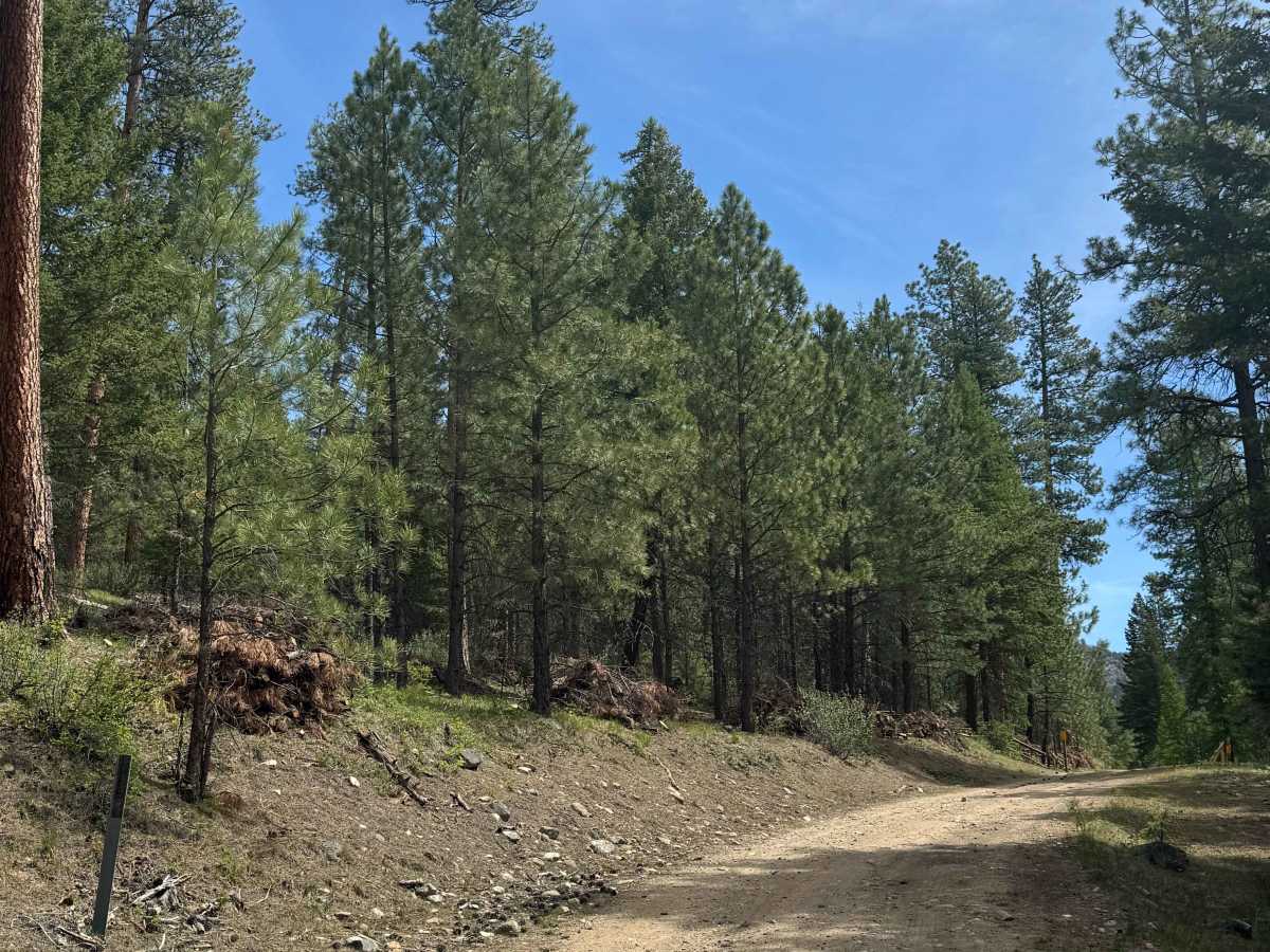 Sherman Creek Trailhead Road trail photo