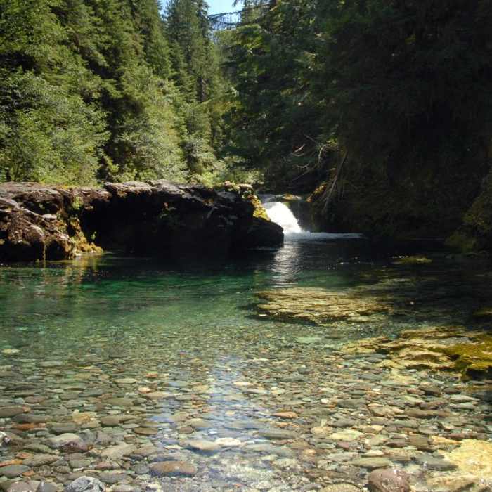 Near Opal Creek Hiking Trail