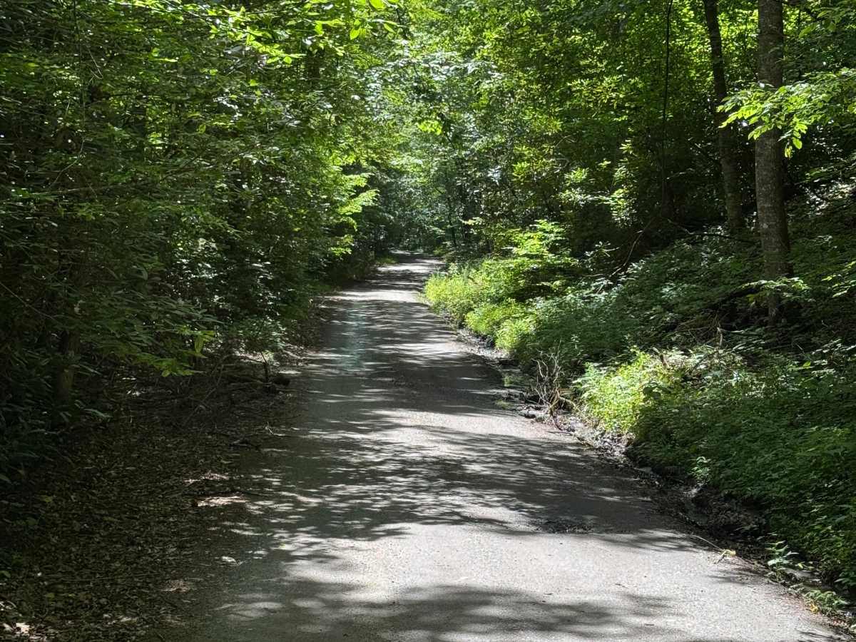 Lower Moses Creek - FS 4651 photo 3