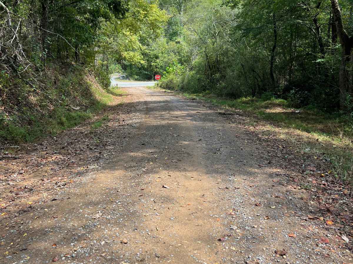 Estelle Mines Road trail photo