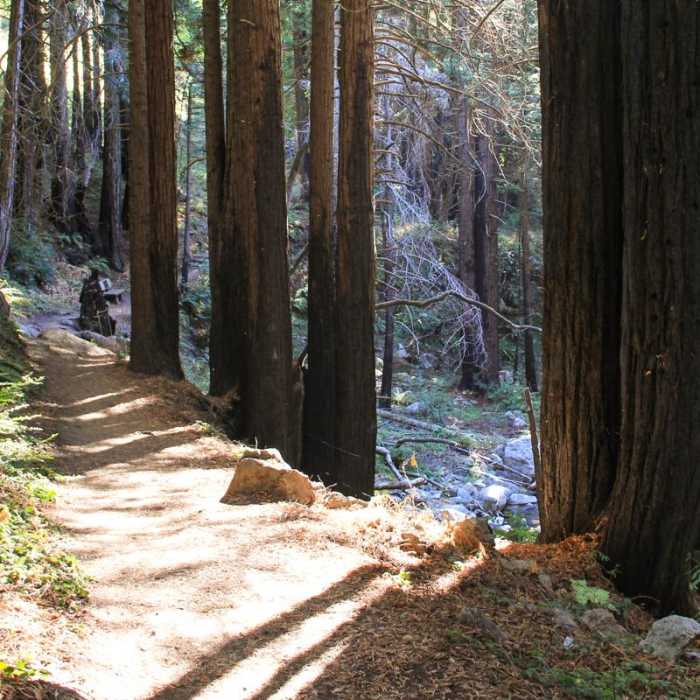 Near Hare Creek Trail Near Hare Creek Trail