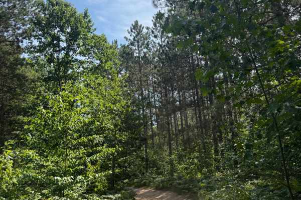 S 29 Trail