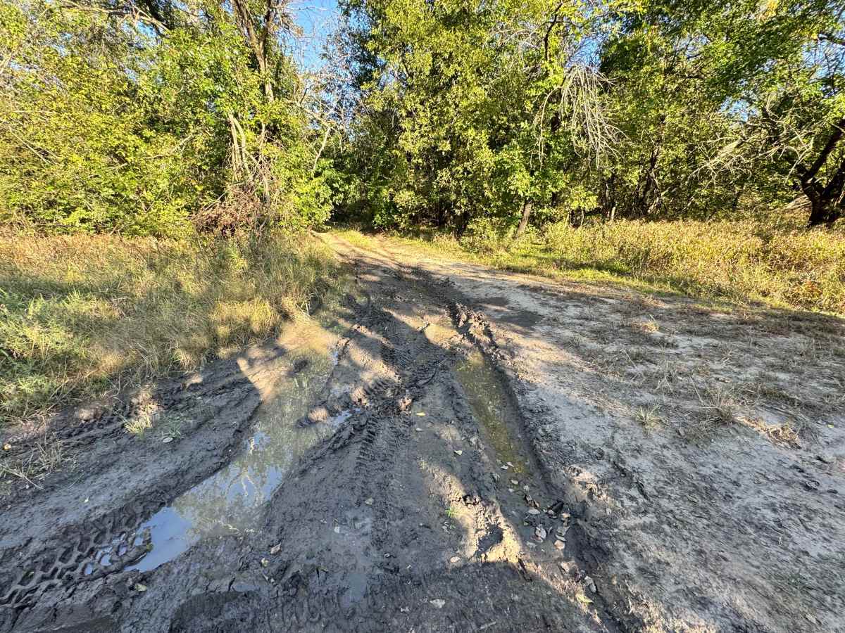 Freightliner Falls photo 5