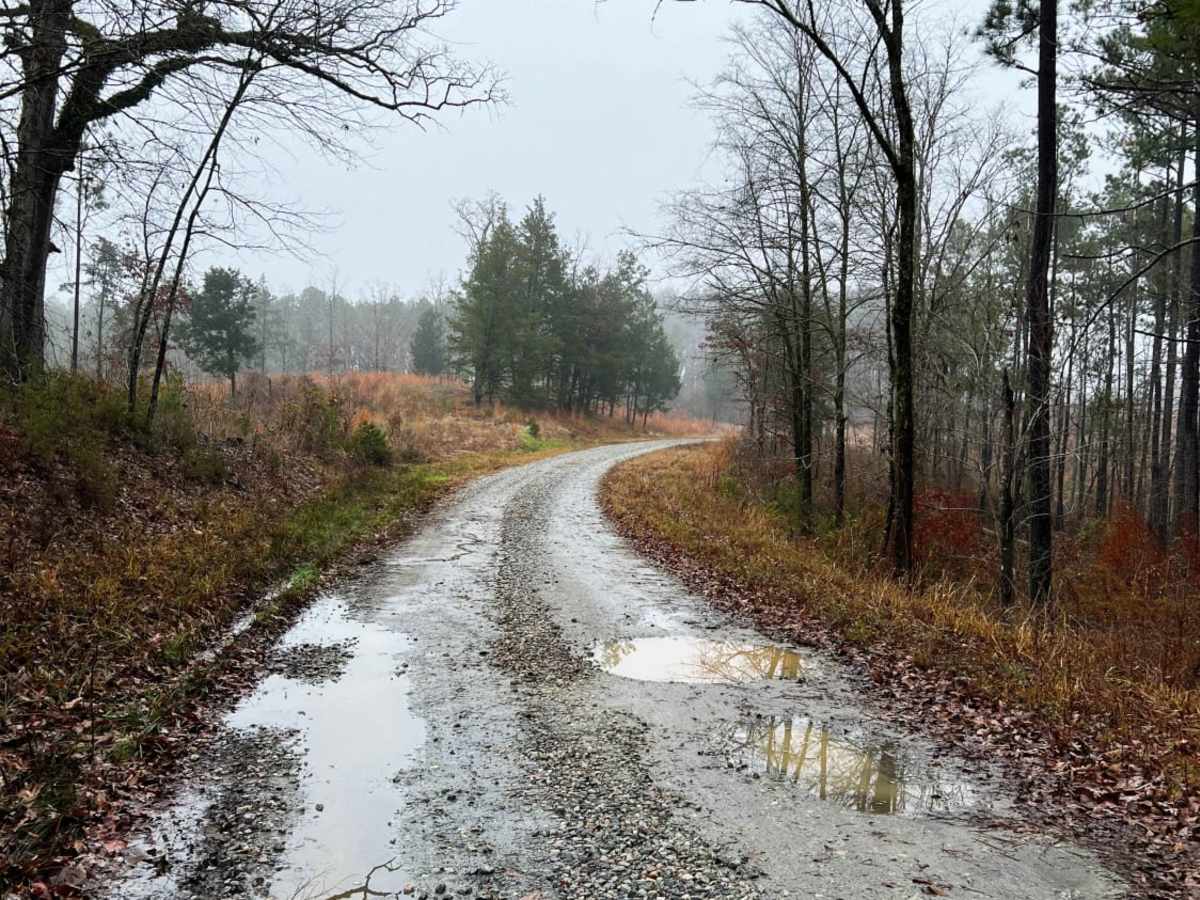 Ocmulgee Camp Loop photo 5