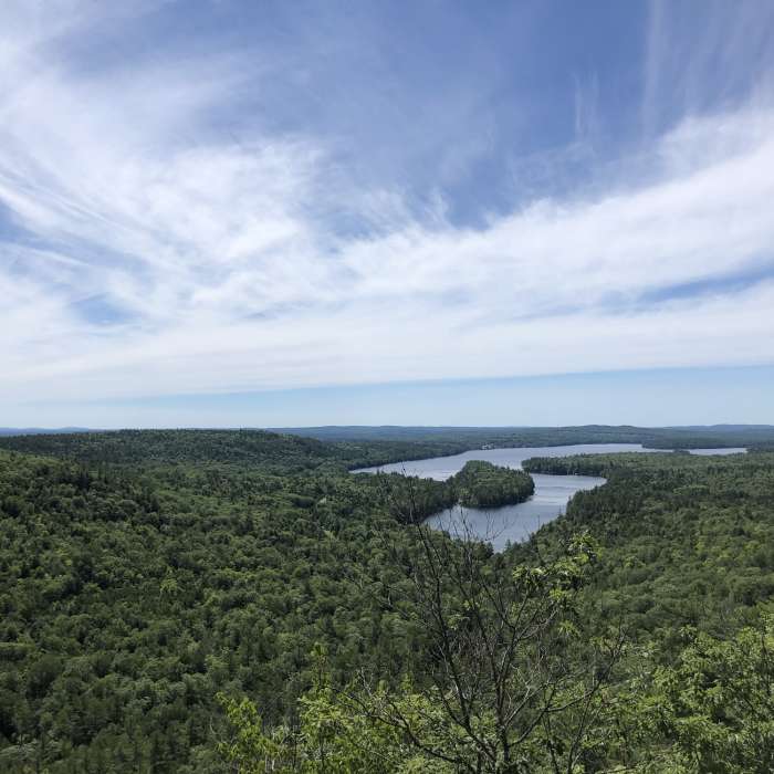 Near French Mountain Trail
