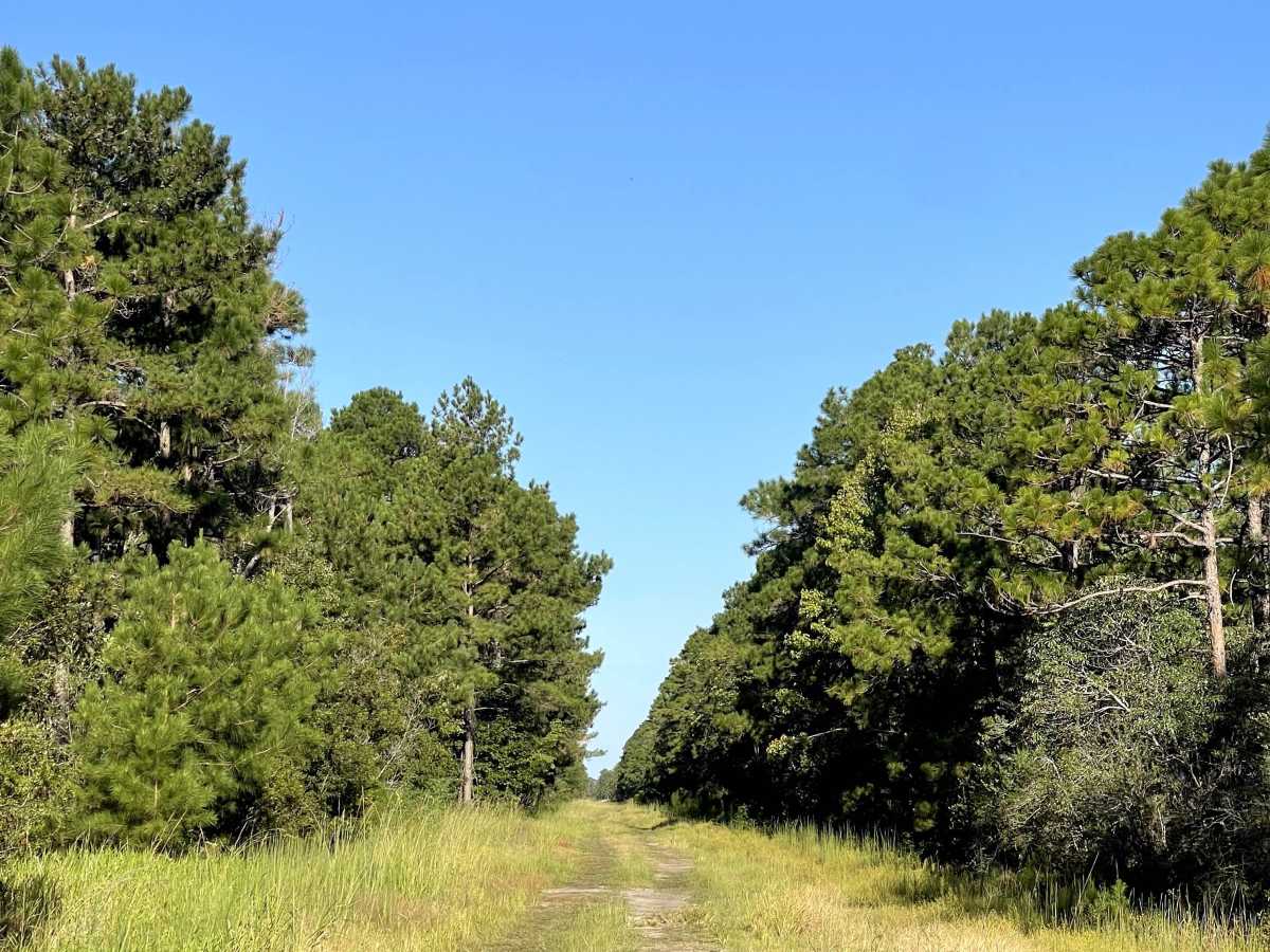 West Ridge Road photo 4