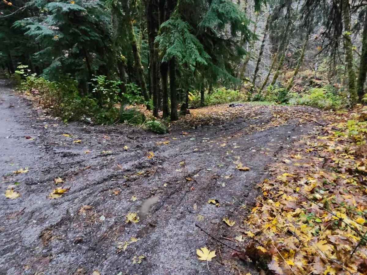 North Fork Stilly Road photo 3